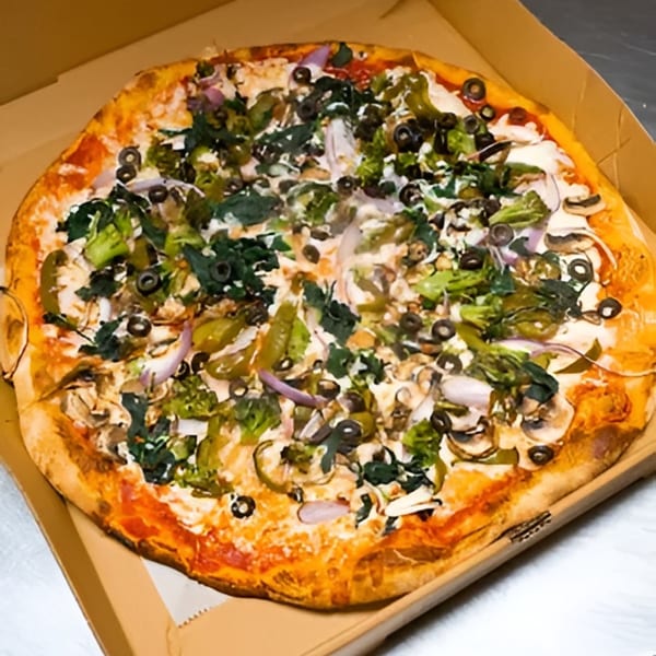 A large vegetarian pizza with broccoli, olives, mushrooms, and onions in a cardboard box.